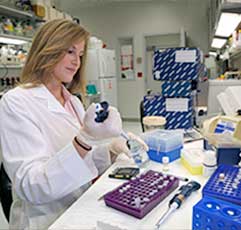 °ϲʿ¼ Researcher working in a laboratory